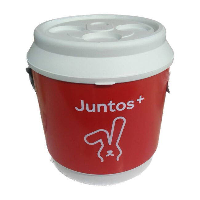 Cooler 24 Latas Personalizado